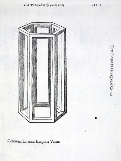 Columna laterata exagona vacua, Illustration aus 
